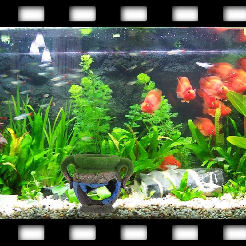 1 buah vas Resin dengan Akseso - Aquarium Fish Games ulasan dan harga