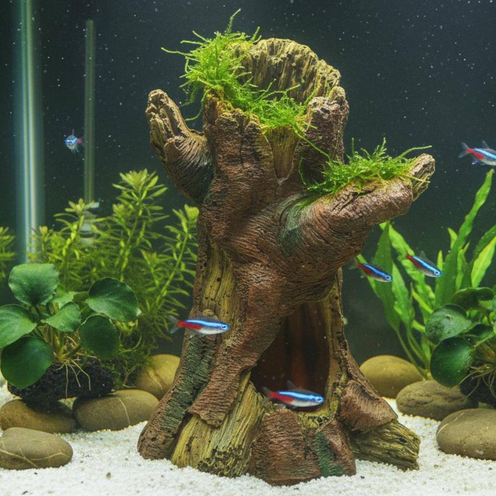 Dekorasi Lanskap Akuarium, Dek - Aquarium Fish Usa ulasan dan harga