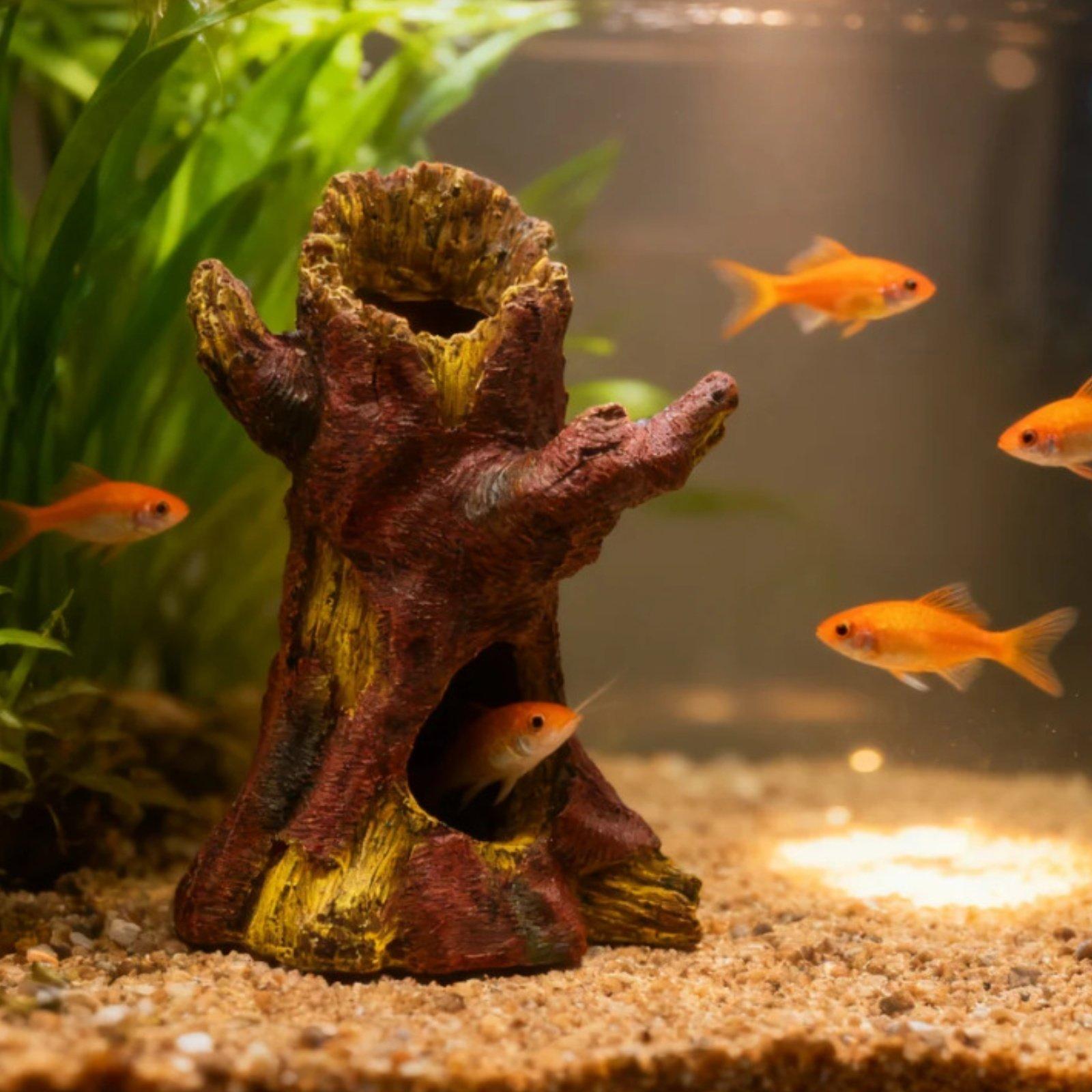 Dekorasi Lanskap Akuarium, Dek - Aquarium Fish Usa ulasan dan harga