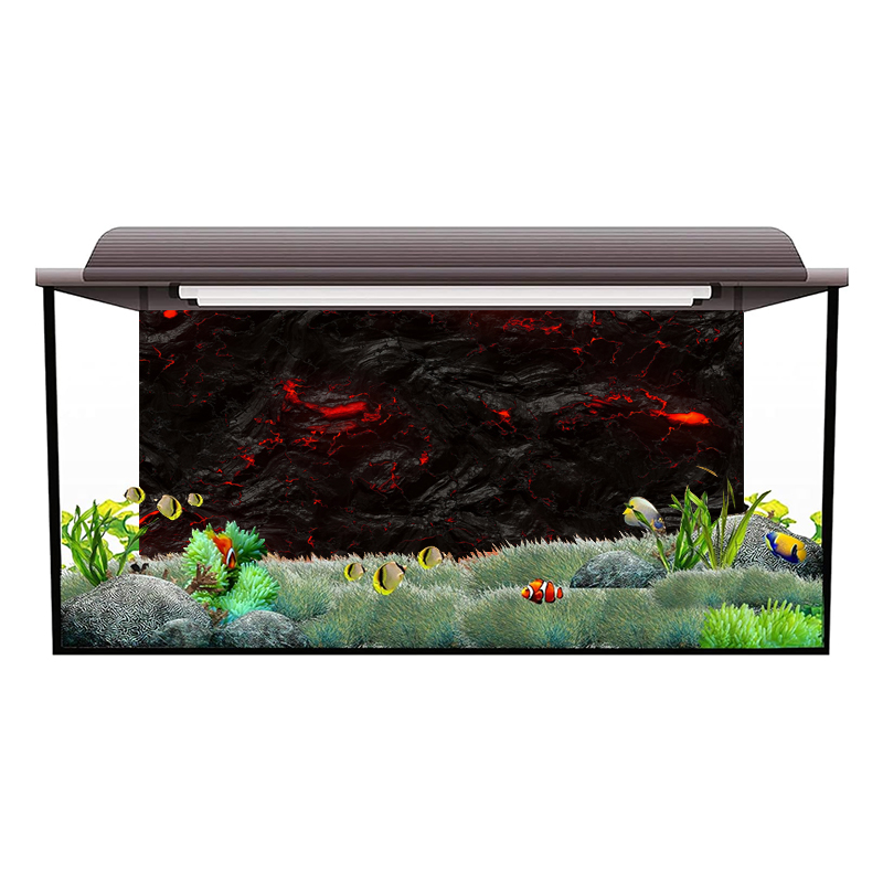 Stiker Latar Belakang Akuarium - Aquarium Fish Wallpaper Hd ulasan dan harga