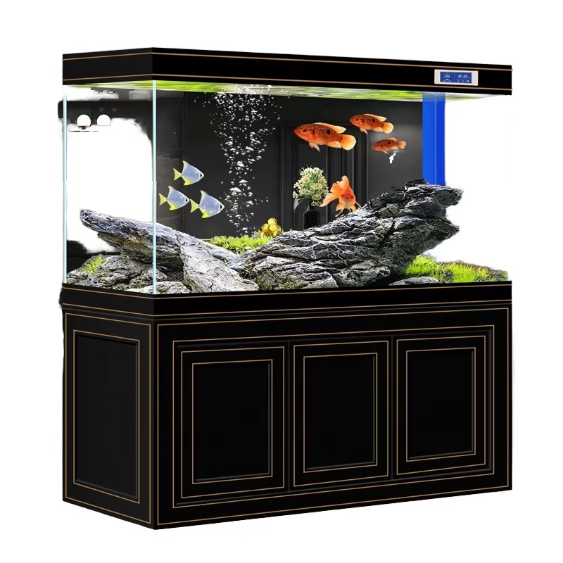 Akuarium Ruang Tamu Rumah Kaca - Aquarium Fish Dragon ulasan dan harga