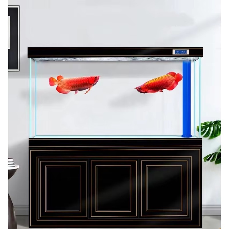 Akuarium Ruang Tamu Rumah Kaca - Aquarium Fish Dragon ulasan dan harga