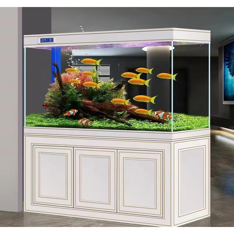 Akuarium Ruang Tamu Rumah Kaca - Aquarium Fish Dragon ulasan dan harga
