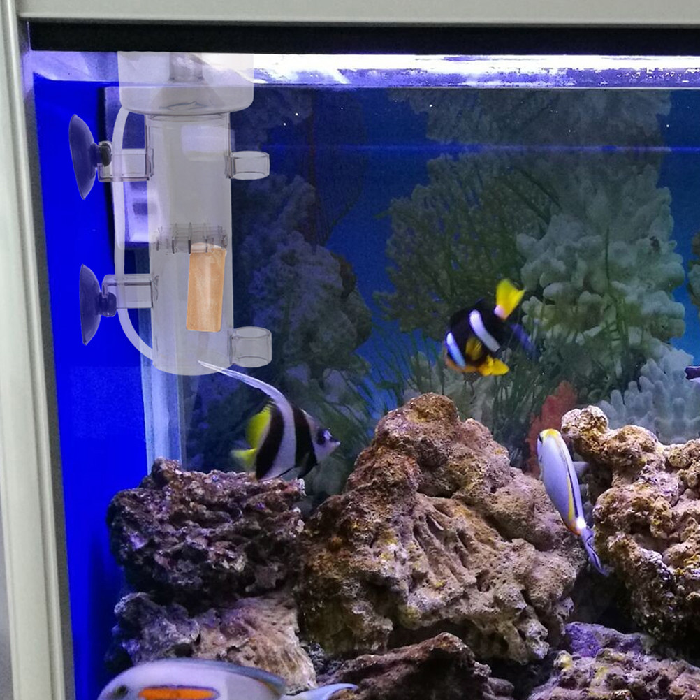 Protein Skimmer Akrilik Pemisa - Aquarium Fish Accessories ulasan dan harga