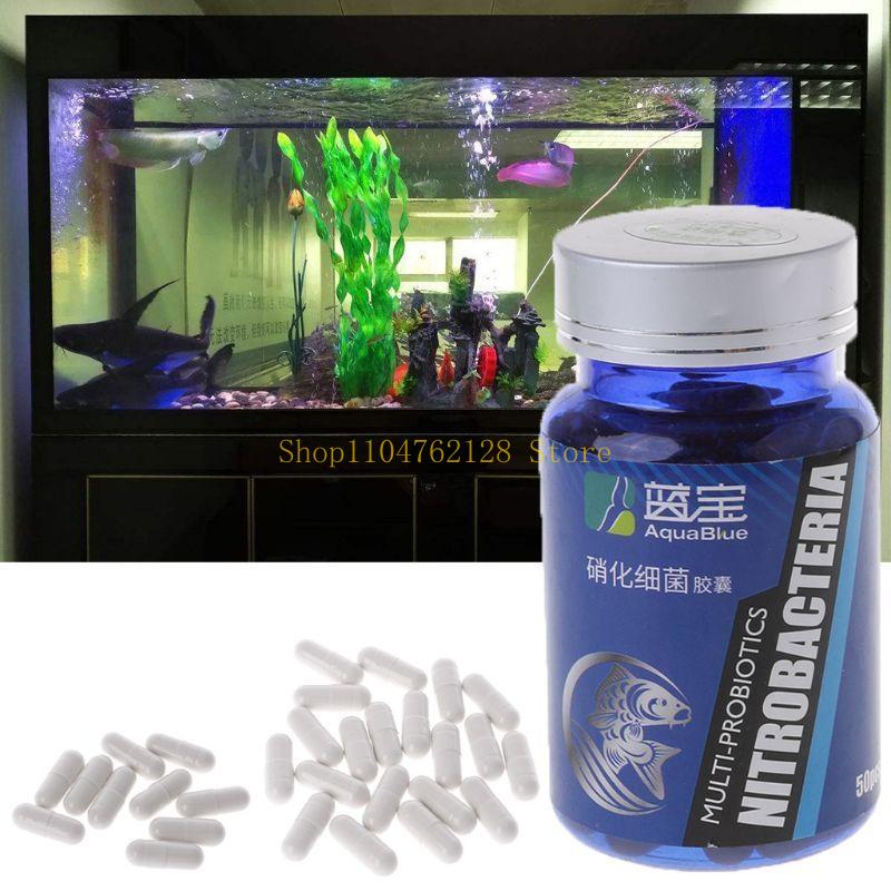 Kapsul Bakteri Nitrifikasi Pem - Aquarium Fish Medicine ulasan dan harga