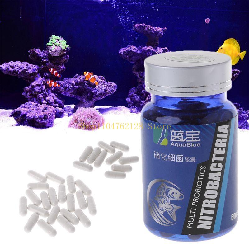 Kapsul Bakteri Nitrifikasi Pem - Aquarium Fish Medicine ulasan dan harga