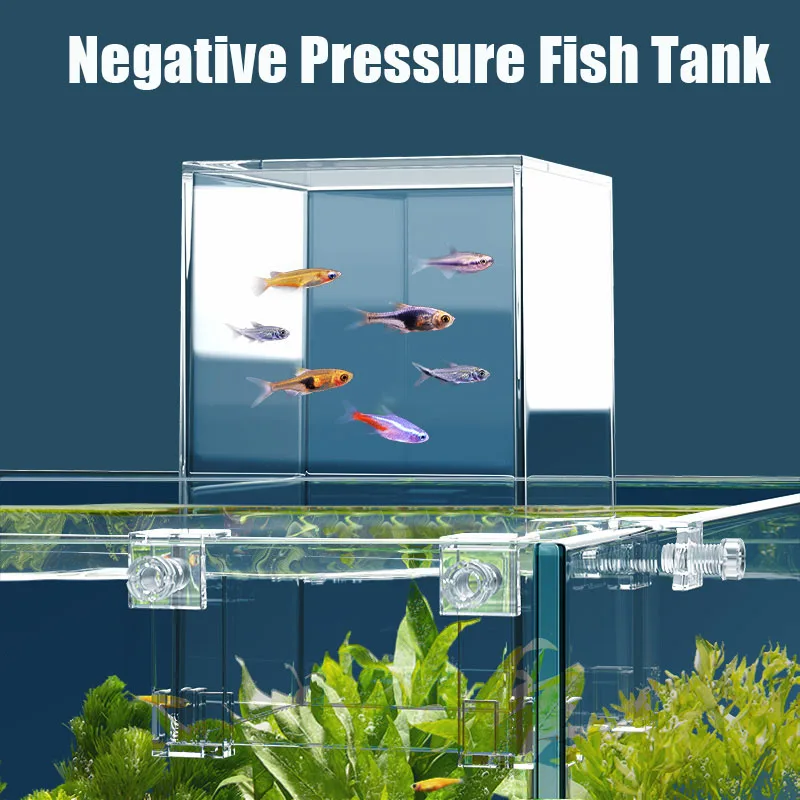 Tangki akuarium kreatif, tangk - Aquarium Fish Jar ulasan dan harga