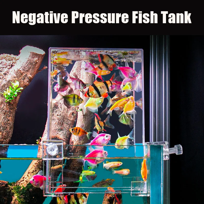 Tangki akuarium kreatif, tangk - Aquarium Fish Jar ulasan dan harga