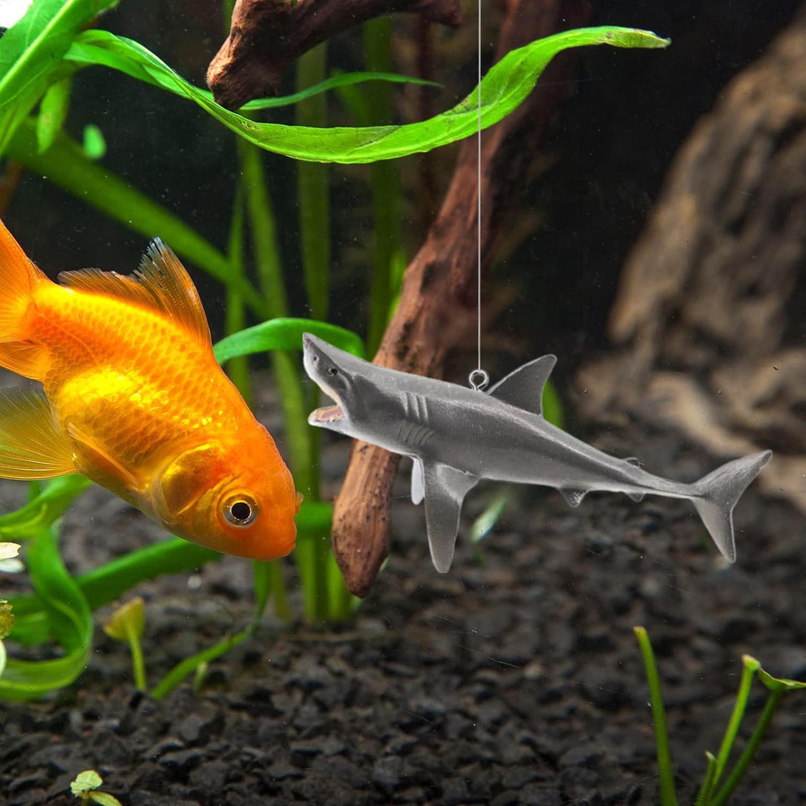 Dekorasi Lanskap Akuarium Hiu  - Aquarium Fish Games ulasan dan harga