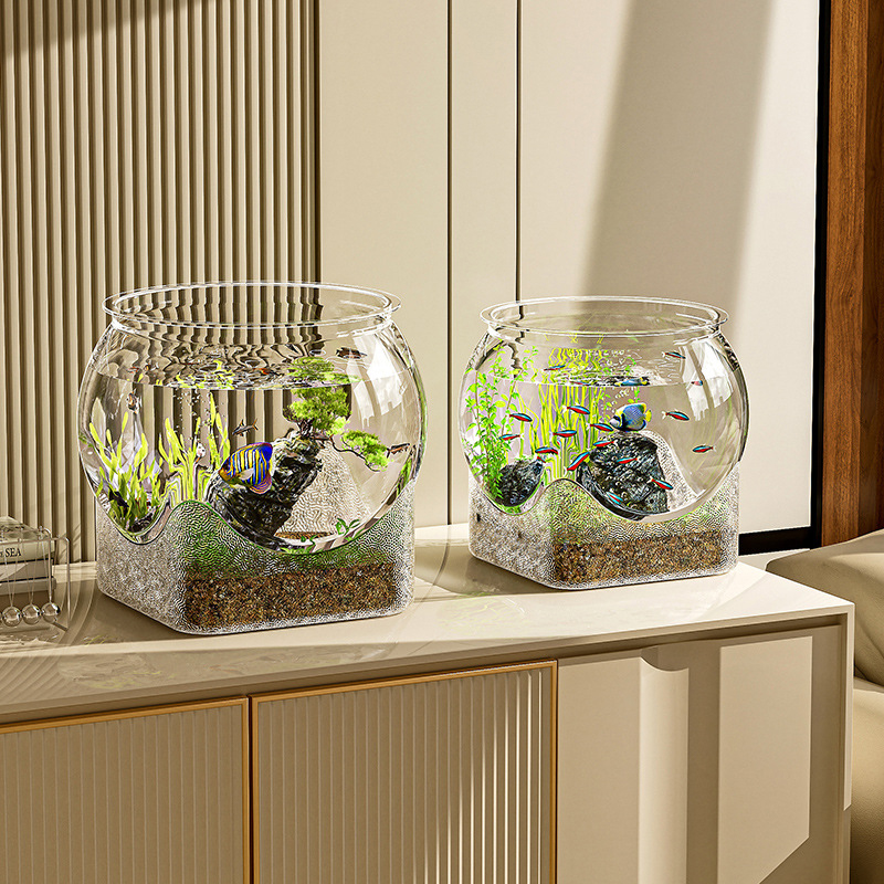 Akuarium Tangki Ikan Transpara - Aquarium Goldfish ulasan dan harga