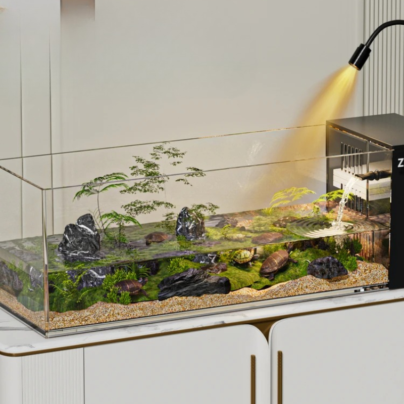 ‌ Akuarium Penyu - Habitat Hib - Aquarium Goldfish ulasan dan harga