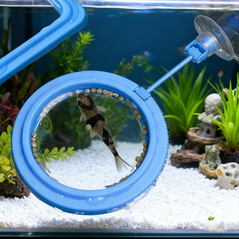 Stasiun Pemberian Makan Ikan A - Aquarium Fish Medicine ulasan dan harga