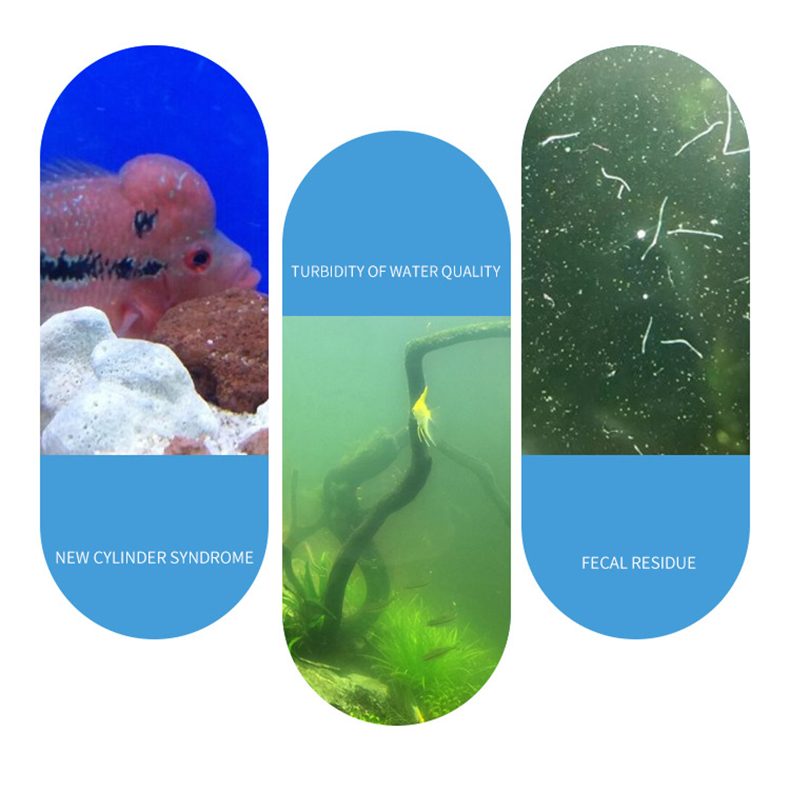 Bubuk Biofilter Starter Nitrif - Aquarium Fish Medicine ulasan dan harga