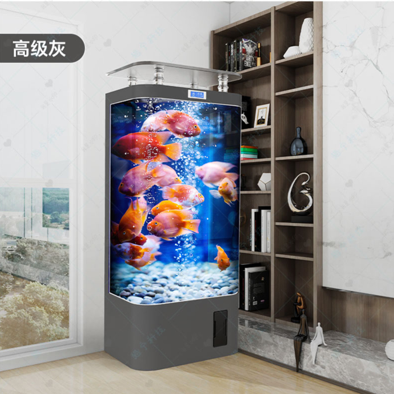 Akuarium ikan mas pintar, ruan - Aquarium Goldfish ulasan dan harga