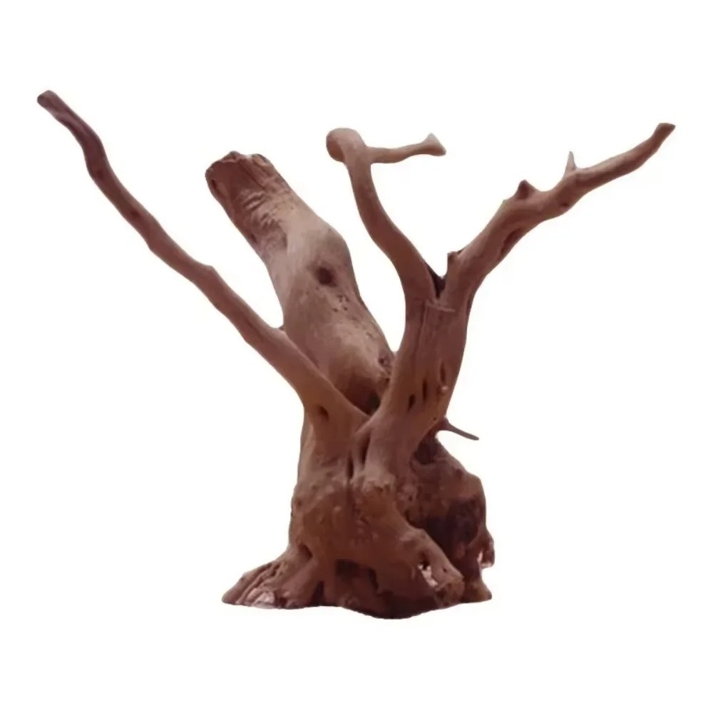 Dekorasi Akuarium Kayu Apung A - Aquarium Fish Types ulasan dan harga