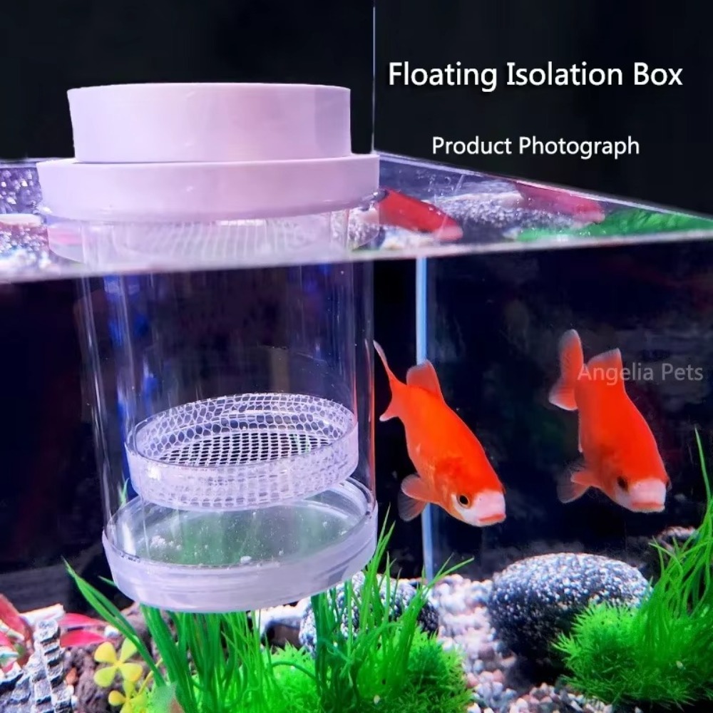 Kotak Isolasi Pembiakan Ikan M - Aquarium Fish Jar ulasan dan harga