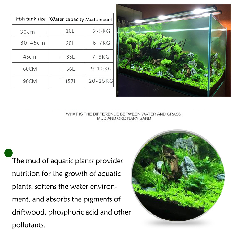 Bibit Tanaman Akuarium Tanah T - Aquarium Fish Accessories ulasan dan harga