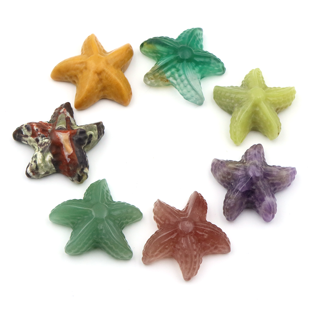 Patung Bentuk Bintang Laut 35M - Aquarium Fish Usa ulasan dan harga