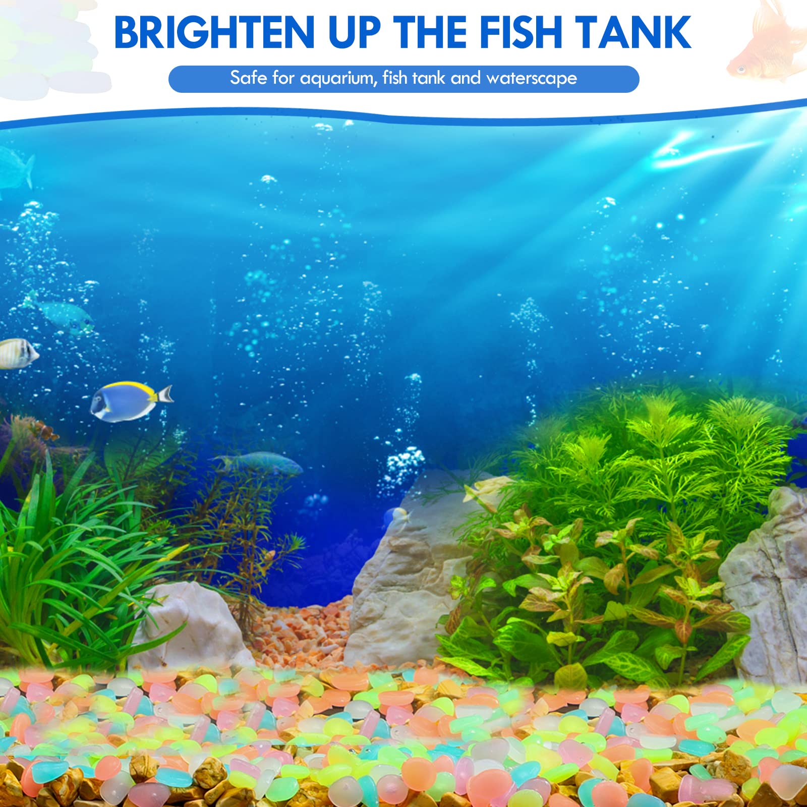 100 buah kerikil taman menyala - Aquarium Fish Types ulasan dan harga