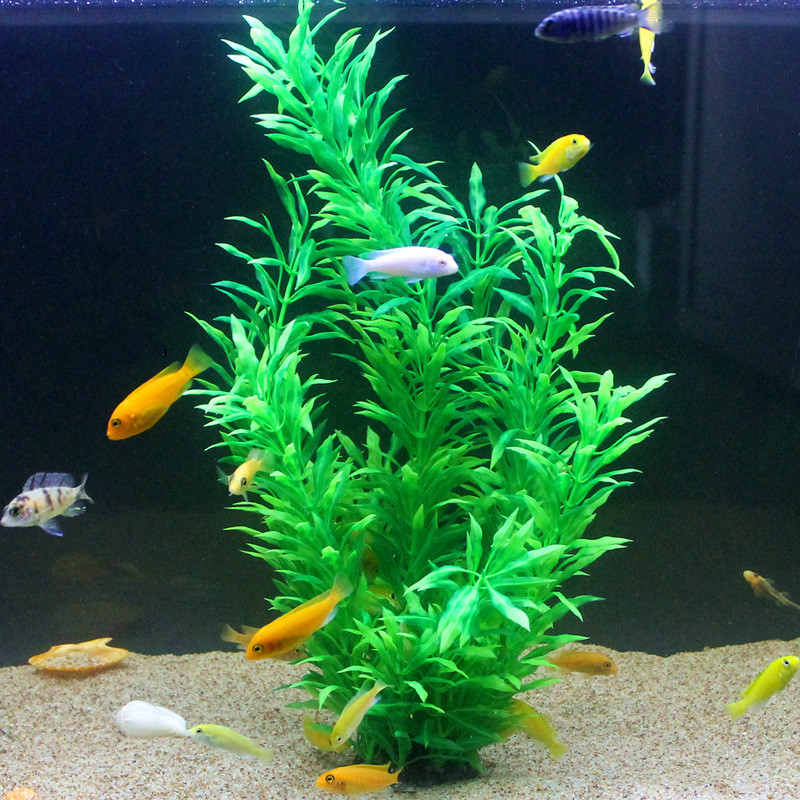 50CM Kolam Ikan Buatan Tanaman - Aquarium Fish Items ulasan dan harga