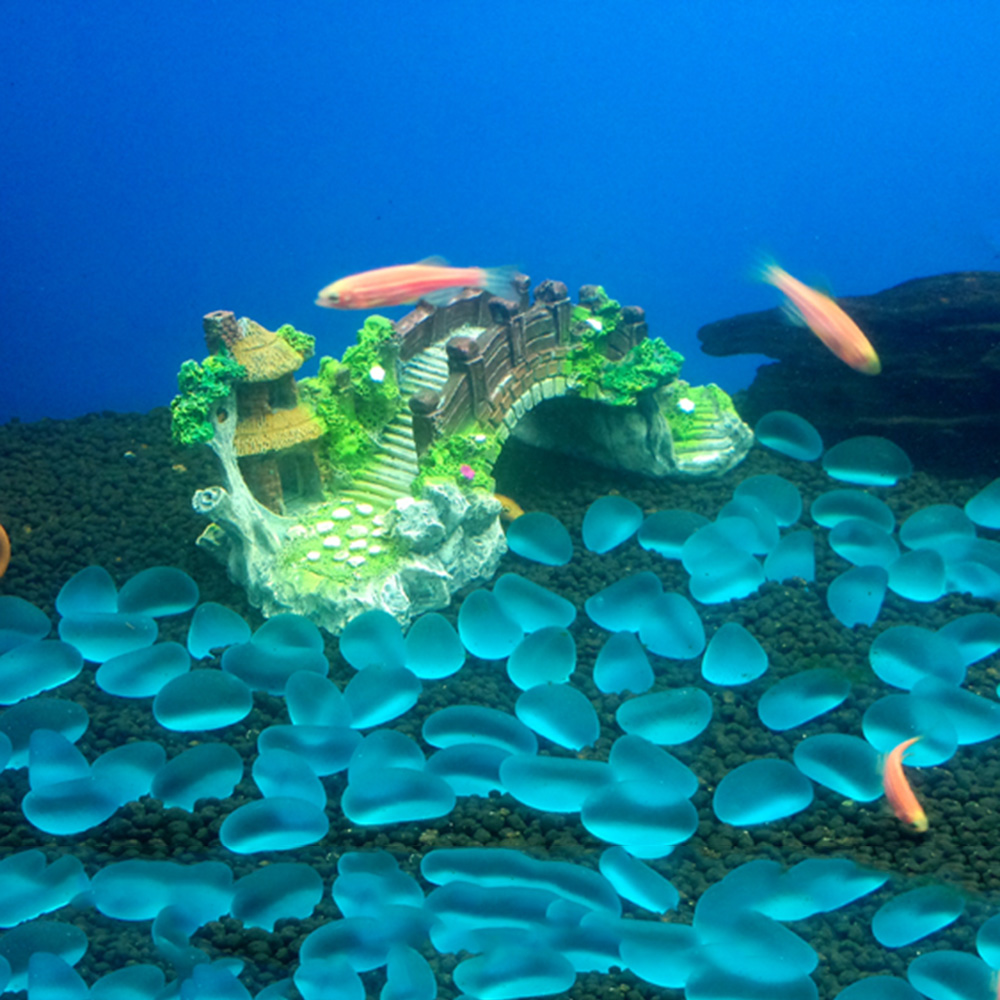 Aksesori akuarium pohon Arbor  - Aquarium Fish Games ulasan dan harga