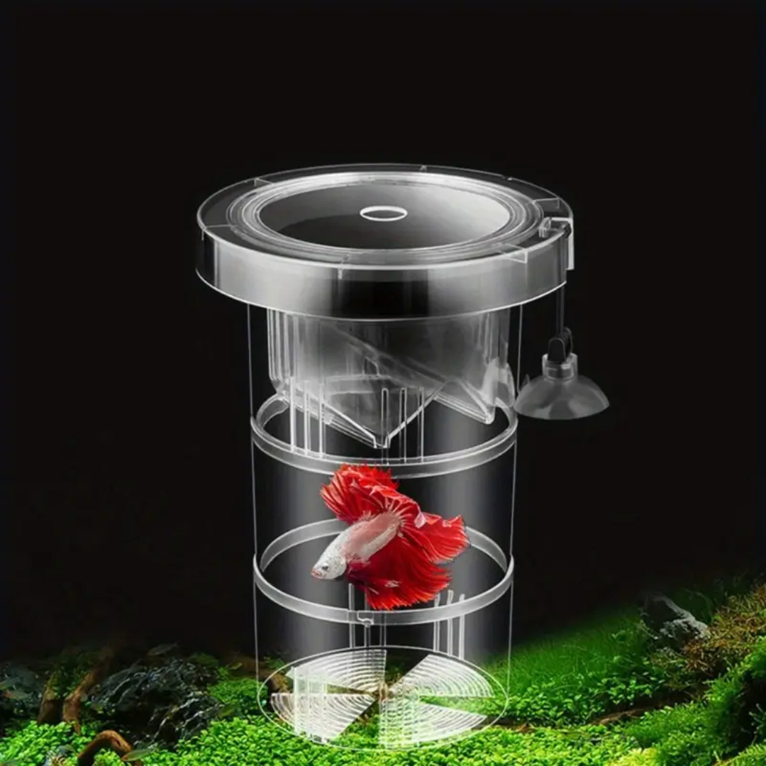 Kotak Isolasi Pembiakan Ikan A - Aquarium Fish Jar ulasan dan harga