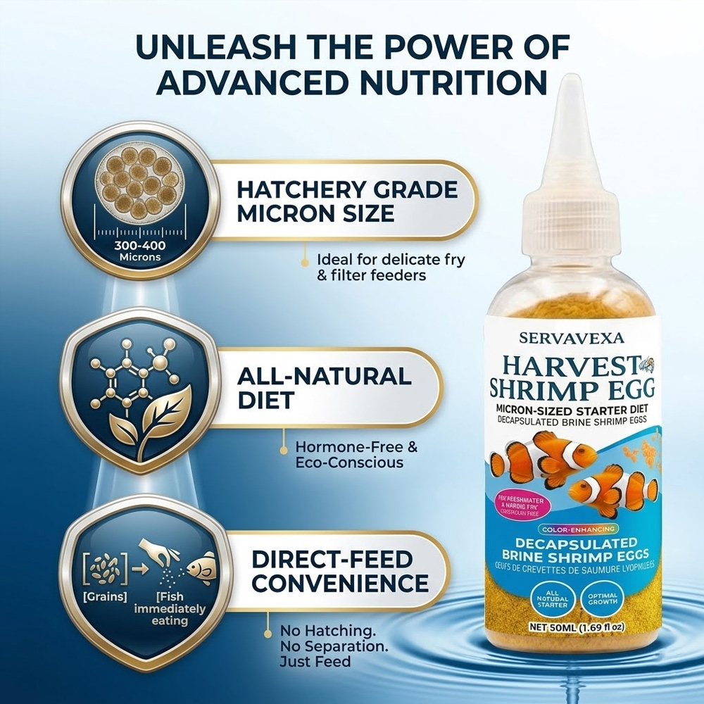 Pakan Ikan Tinggi Protein untu - Aquarium Fish Medicine ulasan dan harga