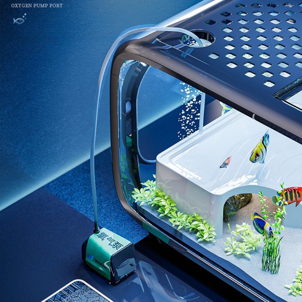 Akuarium Ikan Emas Kecil Dekor - Aquarium Goldfish ulasan dan harga
