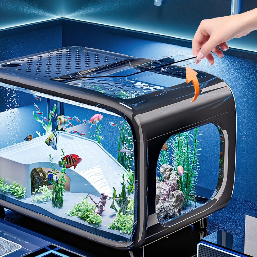 Akuarium Ikan Emas Kecil Dekor - Aquarium Goldfish ulasan dan harga