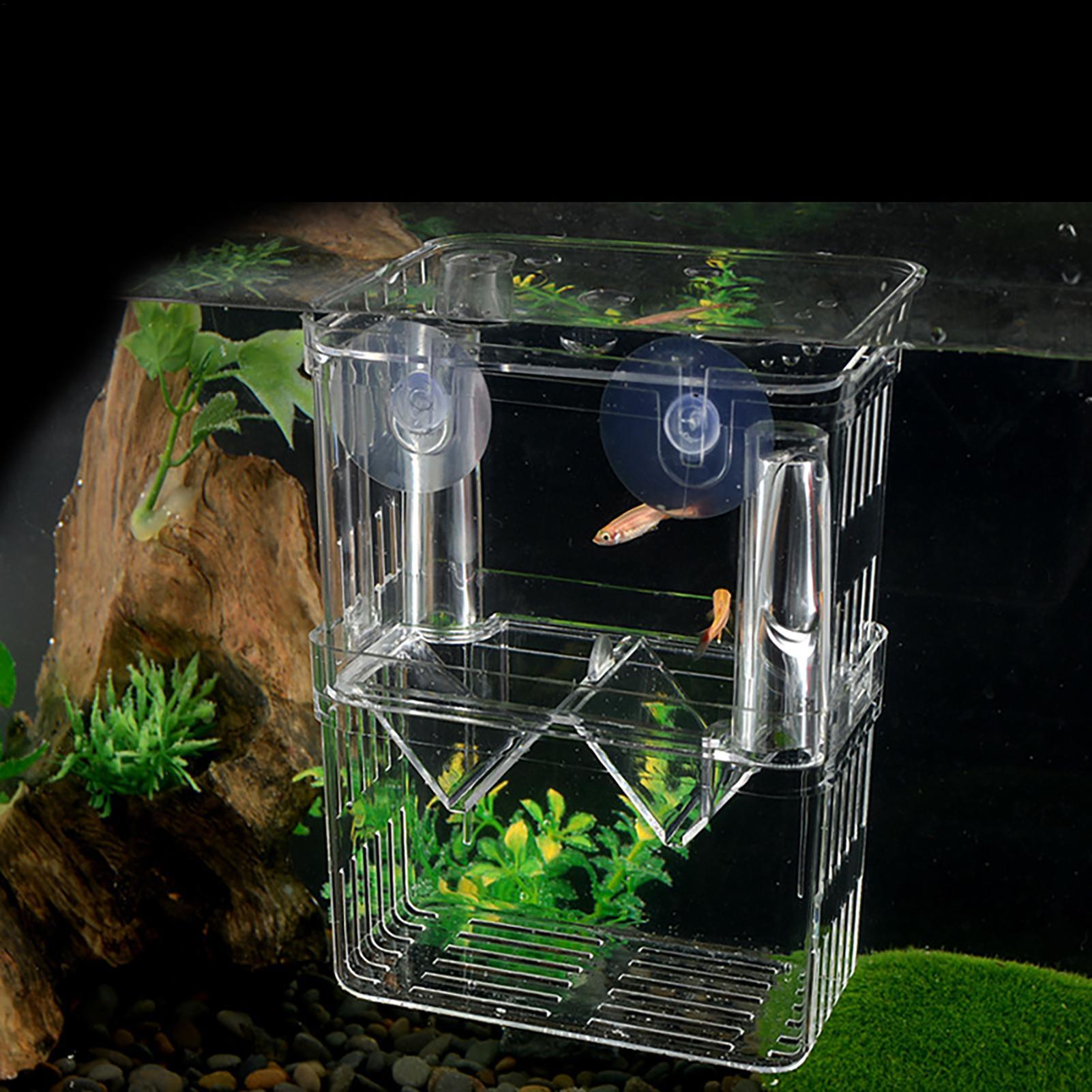 Kotak Pembiakan untuk Akuarium - Aquarium Fish Jar ulasan dan harga