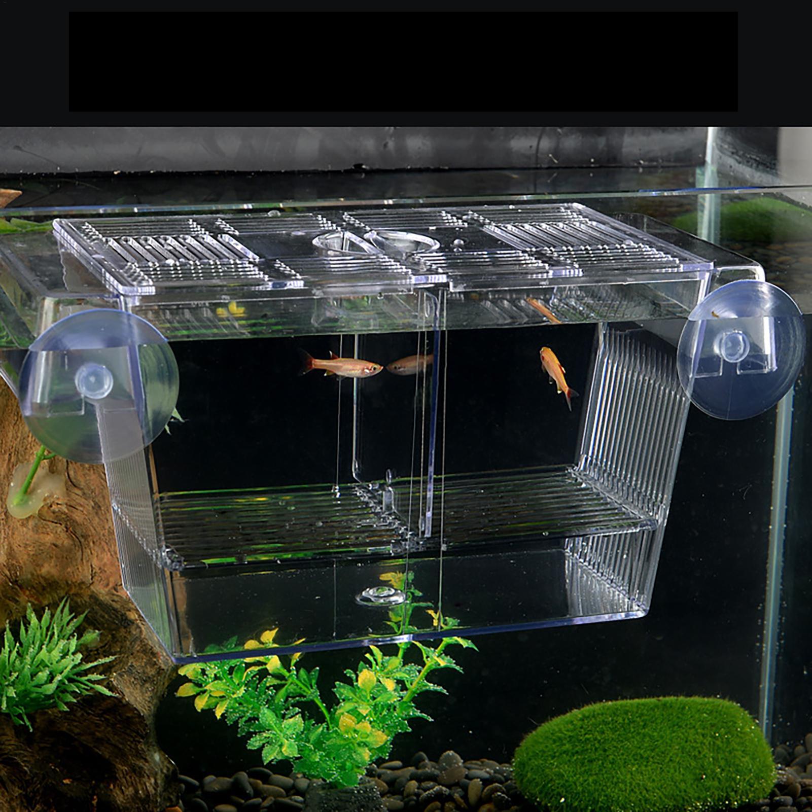 Kotak Pembiakan untuk Akuarium - Aquarium Fish Jar ulasan dan harga