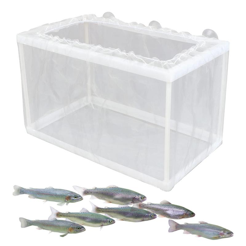 Kotak peternak ikan dengan his - Aquarium Fish Jar ulasan dan harga
