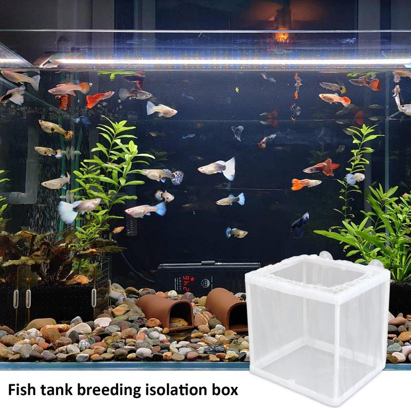 Kotak peternak ikan dengan his - Aquarium Fish Jar ulasan dan harga