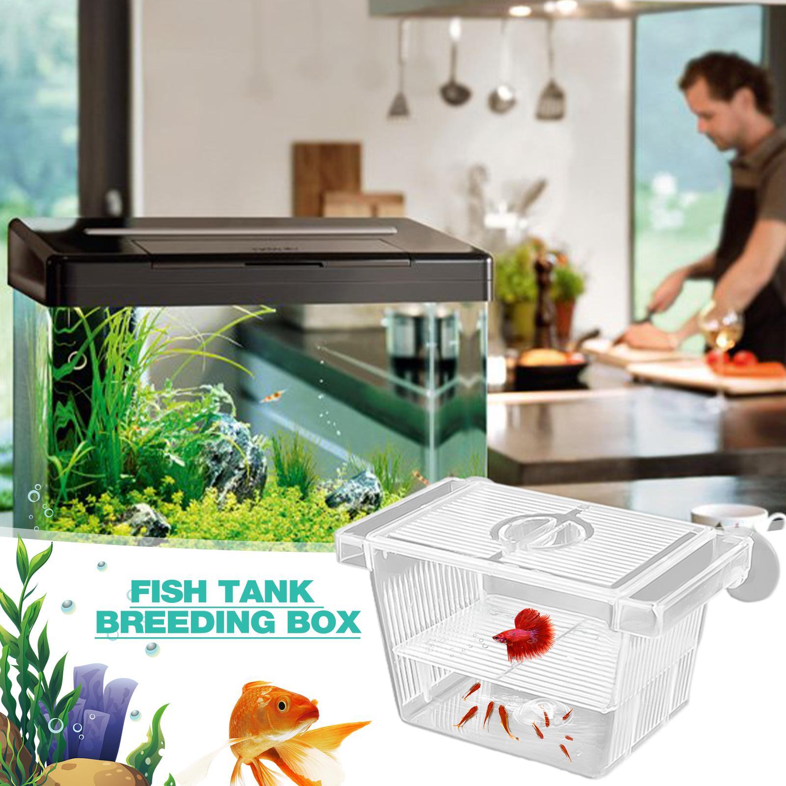 Kotak Isolasi Akrilik untuk Ak - Aquarium Fish Jar ulasan dan harga