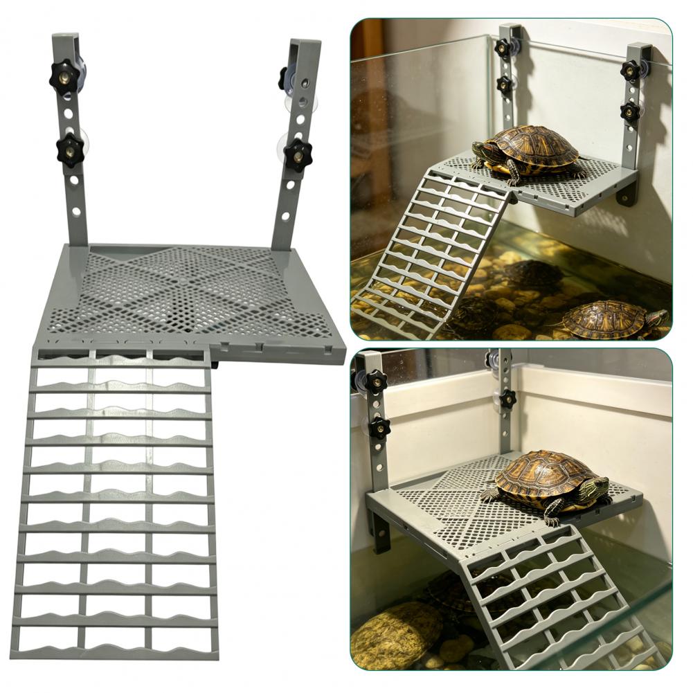 Dekorasi Akuarium Bentuk Padat - Aquarium Fish Types ulasan dan harga