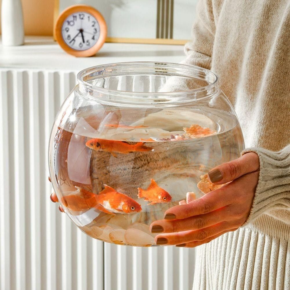Akuarium Transparan Baru Bentu - Aquarium Goldfish ulasan dan harga