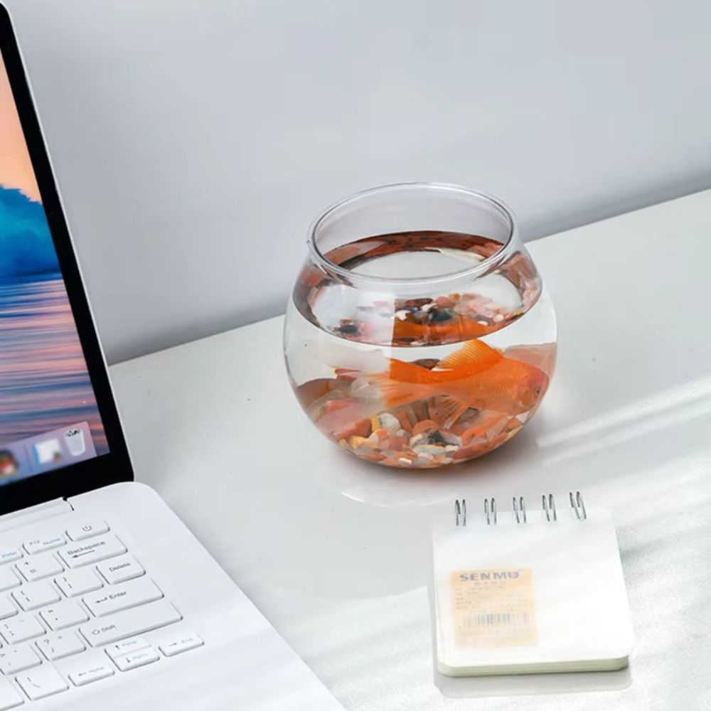 Akuarium Transparan Baru Bentu - Aquarium Goldfish ulasan dan harga