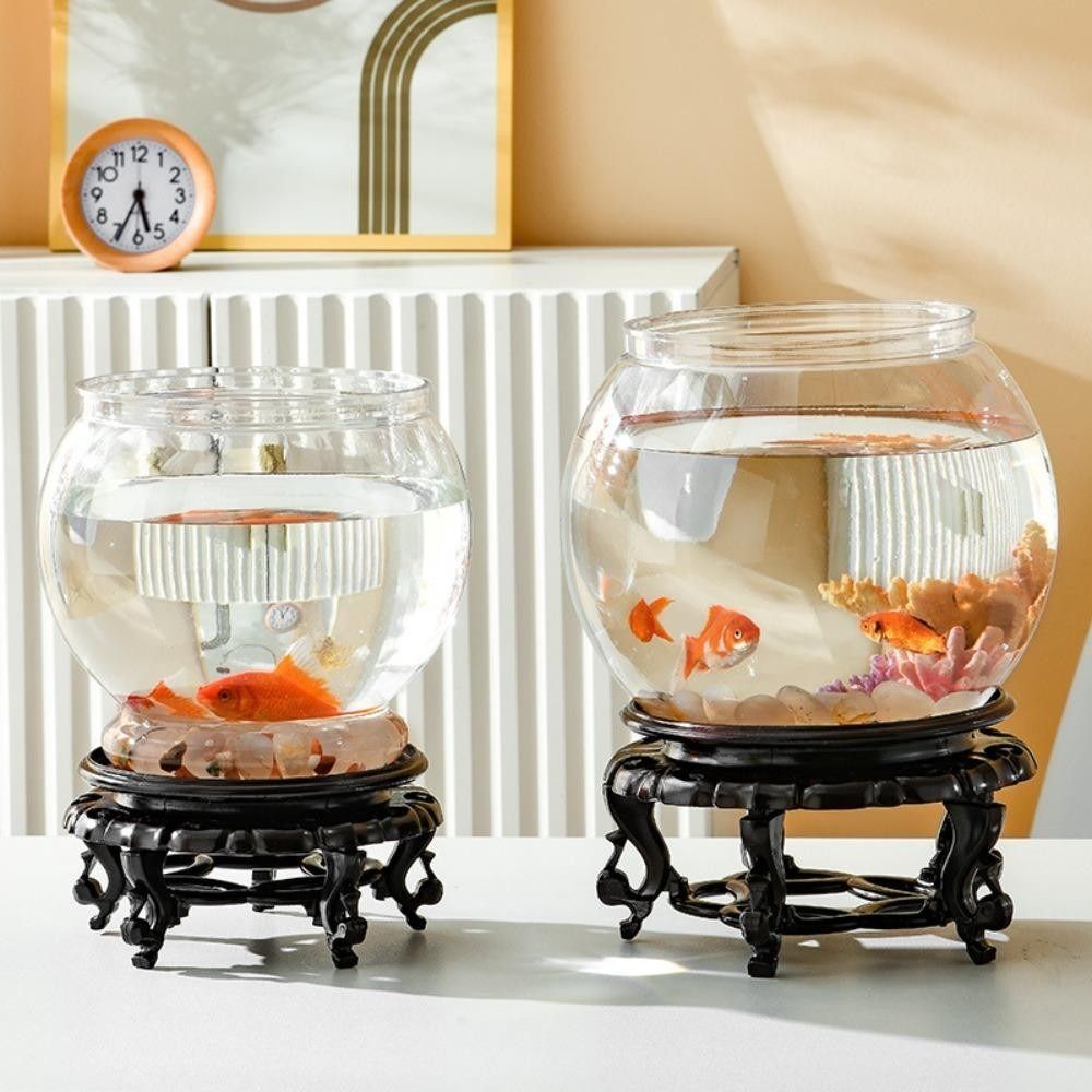 Akuarium Transparan Baru Bentu - Aquarium Goldfish ulasan dan harga