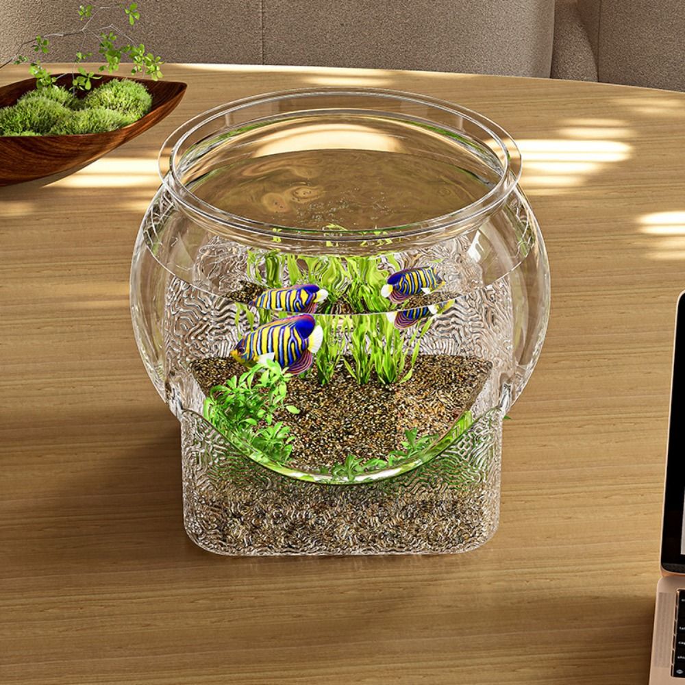 Akuarium Ikan Bulat Ultra Jern - Aquarium Goldfish ulasan dan harga