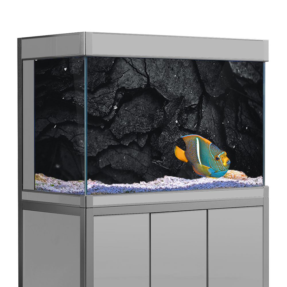 Stiker Latar Belakang Akuarium - Aquarium Fish Wallpaper Hd ulasan dan harga