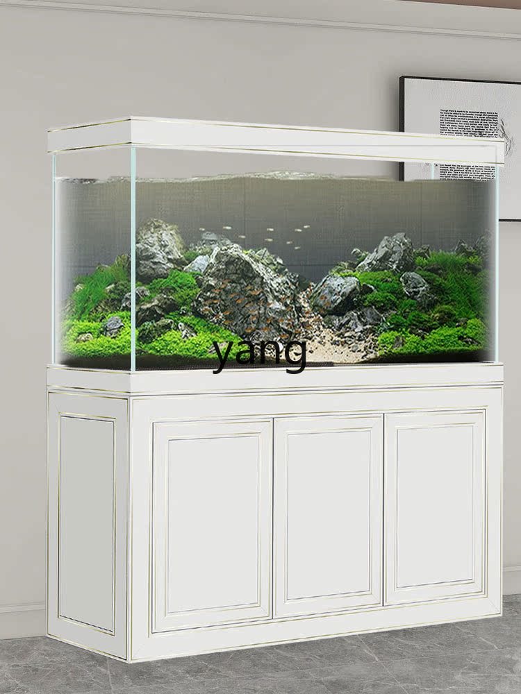 Filter Dasar Akuarium Ekologis - Aquarium Fish Dragon ulasan dan harga