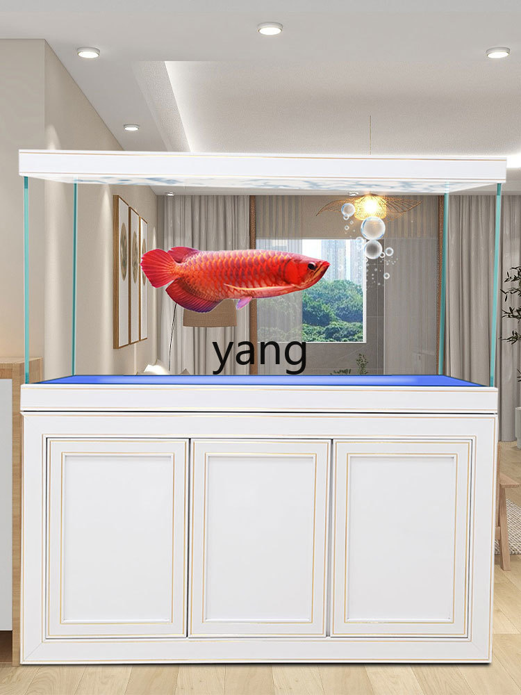 Filter Dasar Akuarium Ekologis - Aquarium Fish Dragon ulasan dan harga