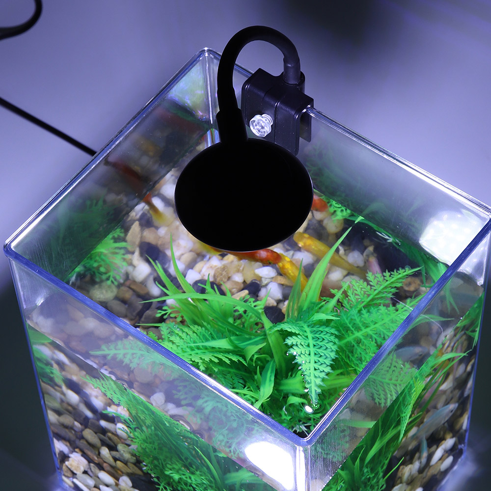 Set tangki ikan Desktop USB-mu - Aquarium Goldfish ulasan dan harga