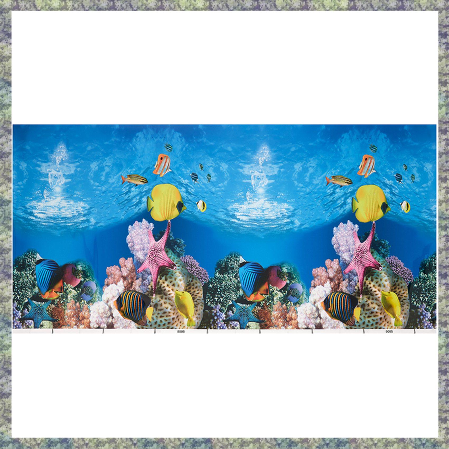 WON Kertas Latar Belakang Akua - Aquarium Fish Wallpaper Hd ulasan dan harga